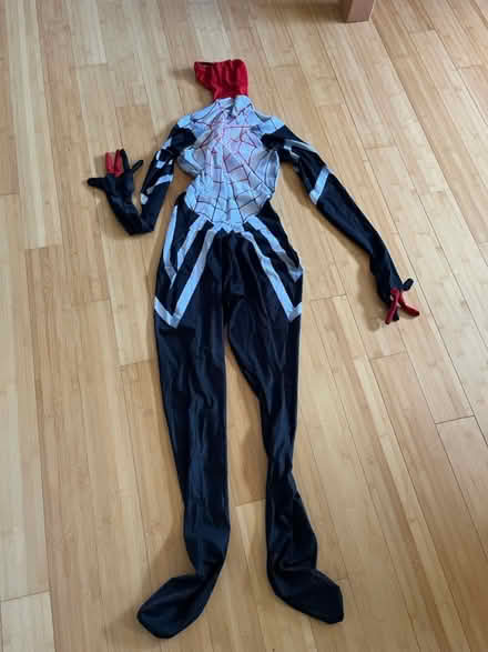 Photo of free Silk Spider woman Cosplay costume (Fair Lawn, NJ) #3
