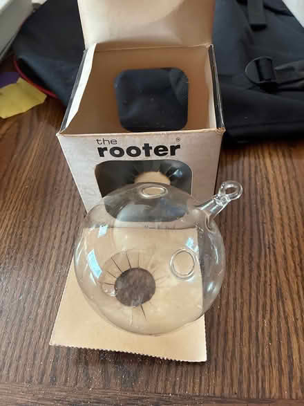 Photo of free Glass ball for rooting plants (Park-Monroe Neighborhood) #1