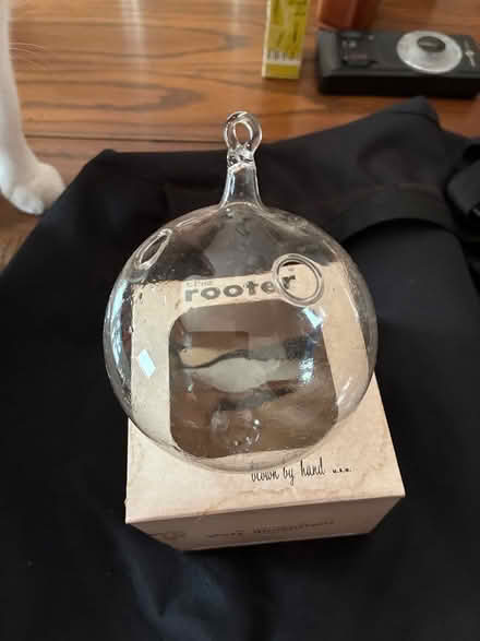 Photo of free Glass ball for rooting plants (Park-Monroe Neighborhood) #2