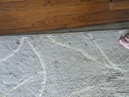 Photo of free Area rug (Leedom, Ridley park) #2