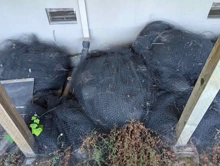 Photo of free Vineyard Netting (Napa) #1