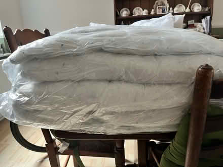 Photo of free 2 single quilts (Abington) #2