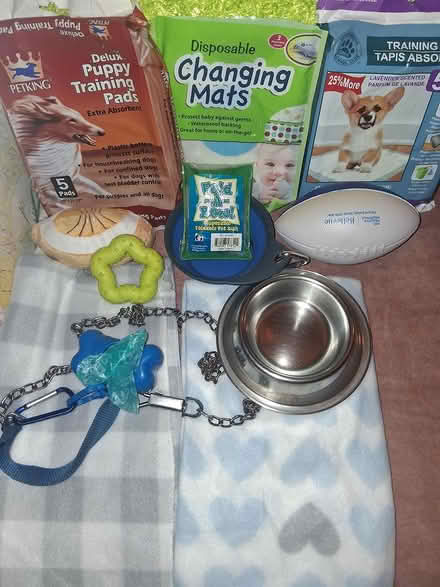 Photo of free Various Small Dog Items (Upper Bronx NE/Lower Yonkers) #1