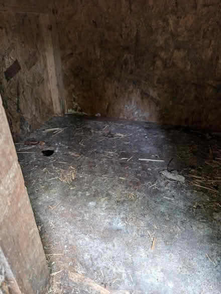 Photo of free Chicken/duck coop (Kirklees HD9) #3