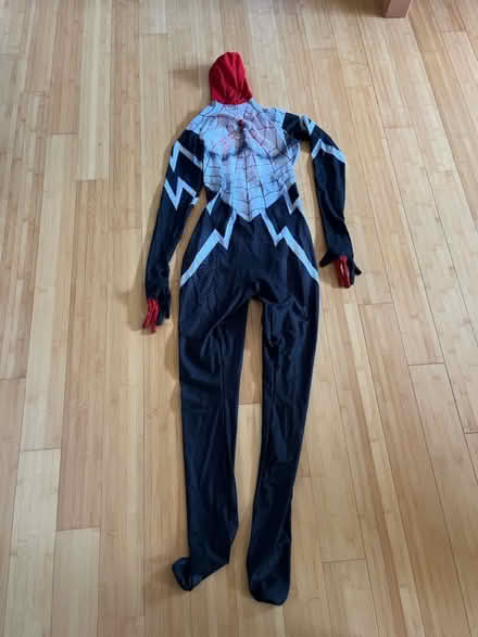 Photo of free Silk Spider woman Cosplay costume (Fair Lawn, NJ) #2