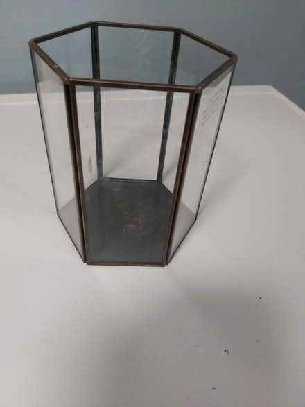 Photo of free Terrarium (Woolton L25) #4