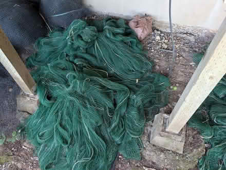 Photo of free Vineyard Netting (Napa) #4