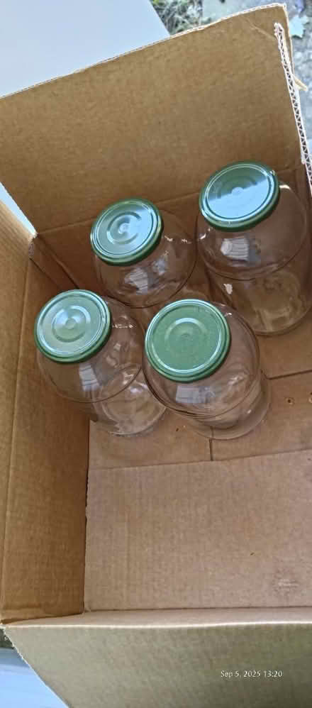 Photo of free 4 Big Glass Jars (Bowie) #1