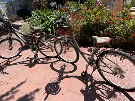 Photo of free Two Specialized bikes with helmets (San Leandro near the Marina) #1