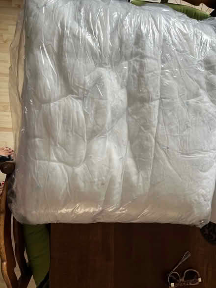 Photo of free 2 single quilts (Abington) #1