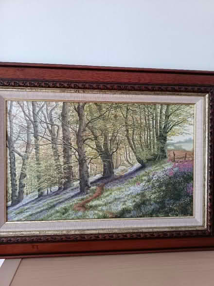 Photo of free Bluebell Wood picture (Southport PR9) #1