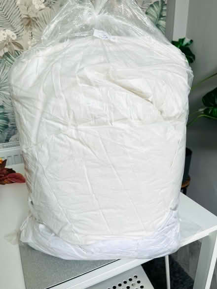 Photo of free Single feather quilt and topper (Gosport PO12) #1