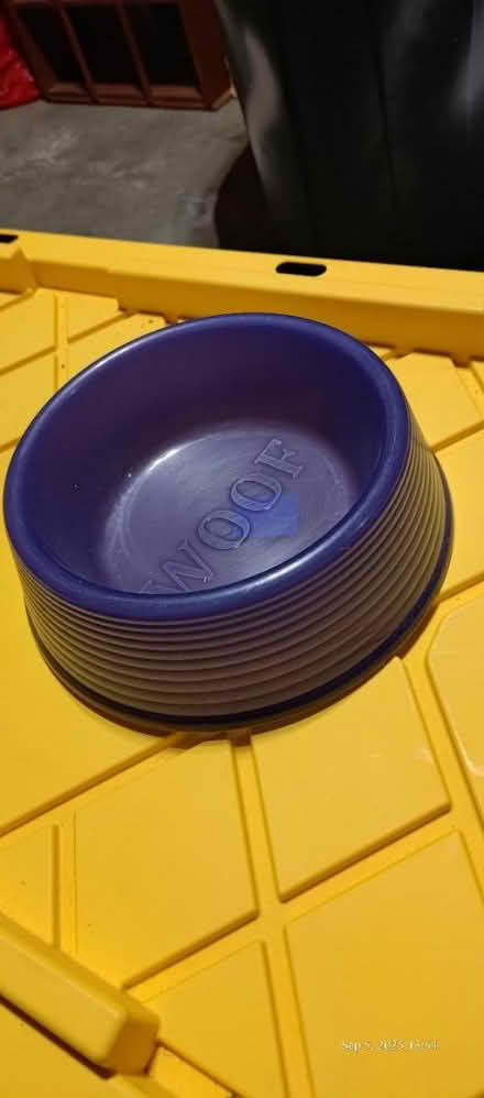Photo of free Pet Bowl (Bowie) #1