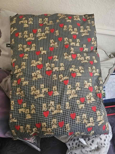 Photo of free Dog bed (Ashton in Makerfield WN4) #1