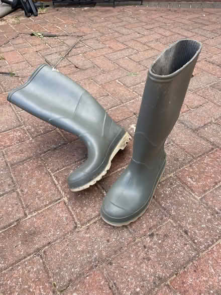 Photo of free Size 6 wellies (Golden Green TN11) #1