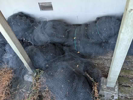 Photo of free Vineyard Netting (Napa) #2