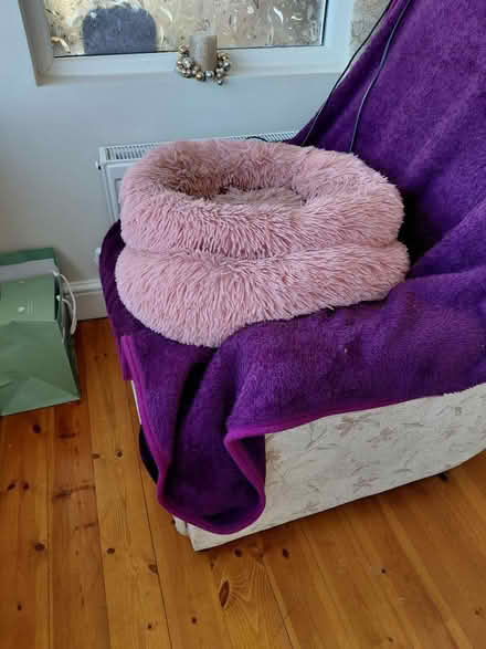 Photo of free Two Plush Pet Beds (TS27) #1