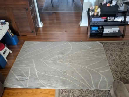Photo of free Area rug (Leedom, Ridley park) #3