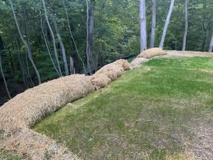 Photo of free Straw blankets (Saline) #1
