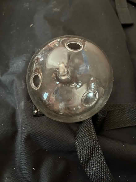 Photo of free Glass ball for rooting plants (Park-Monroe Neighborhood) #3