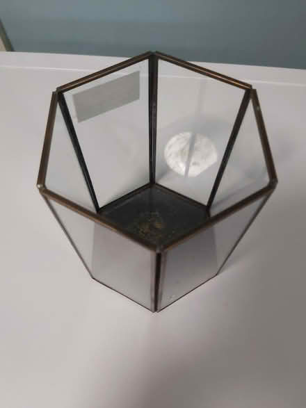 Photo of free Terrarium (Woolton L25) #1