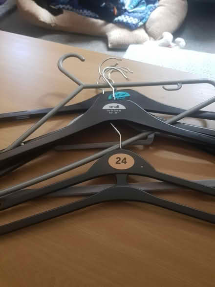 Photo of free Hangers (Hanwood SY5) #1