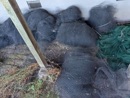 Photo of free Vineyard Netting (Napa) #3