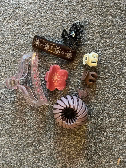 Photo of free Hair Clips (Great Hollands RG12) #1