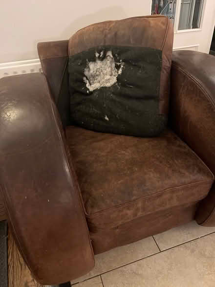 Photo of free Much loved leather chair (Ballyogan Rd, Dublin 18) #2
