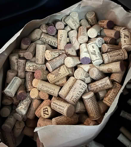 Photo of free Bag of corks for crafting (Danvers near 62/128/35) #1