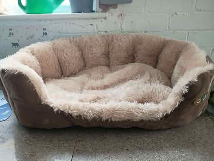 Photo of free cat Items (Wirksworth DE4) #2