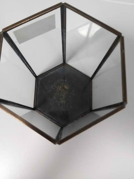 Photo of free Terrarium (Woolton L25) #2