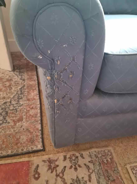 Photo of free Double sofa bed (Henley-on-Thames RG9) #2