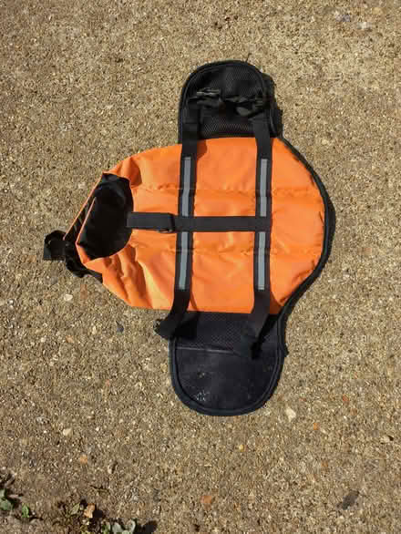 Photo of free Dog harness (Earley RG6) #1