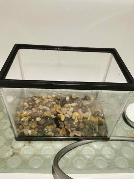Photo of free Fish tank and some items (Griffith Ave) #1