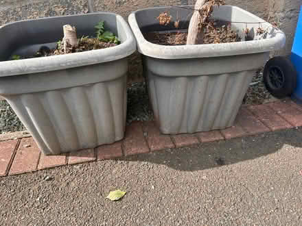 Photo of free Plant tubs (Chaddesden) #2