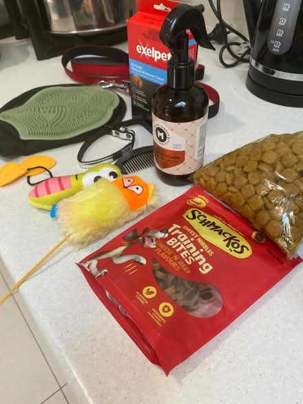 Photo of free dog/puppy bundle (Canberra/Queanbeyan) #3