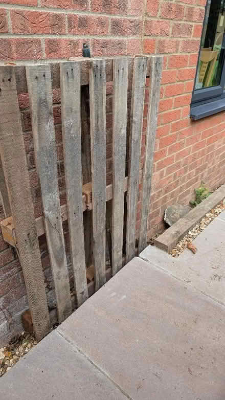 Photo of free Pallet (Ampthill MK45) #1