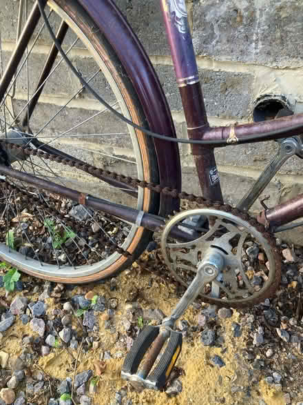 Photo of free Raleigh Cameo Women’s Bike (TN38 st Leonard’s) #3