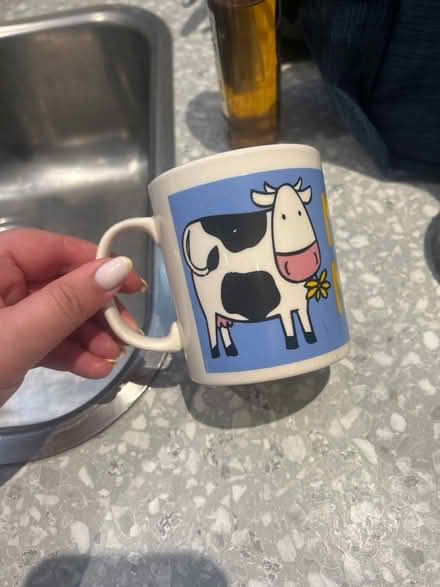Photo of free Cow mug (Park street st albans AL2) #1