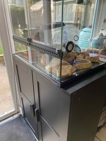 Photo of free Gekko starter kit with vivarium (Coxford SO16) #3