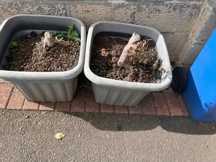 Photo of free Plant tubs (Chaddesden) #3