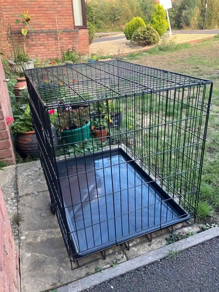 Photo of free Large Dog Crate (Harvey Close BS22) #1