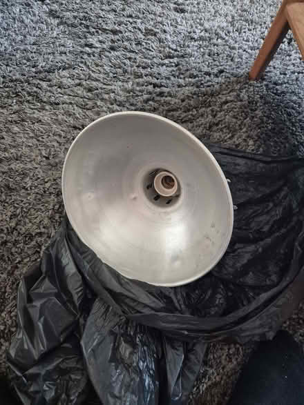 Photo of free Infrared Heat Lamp For puppies, Chicks etc. (Bengeo SG14) #1