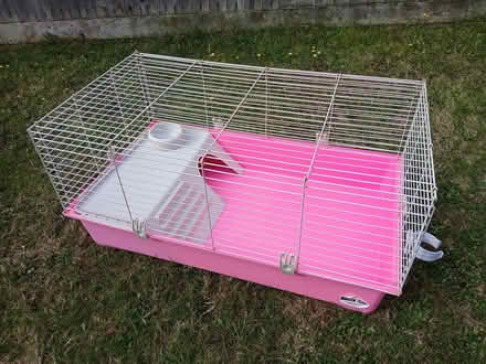 Photo of free Large guinea pig/rabbit cage (Dawlish EX7) #1