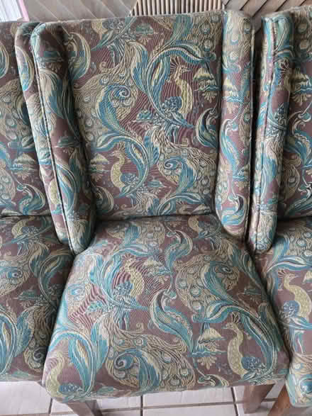 Photo of free 4 Dining Room Chairs (West Orlando) #3