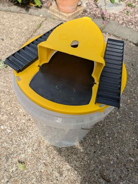 Photo of free Bucket Rat trap (Earley RG6) #1