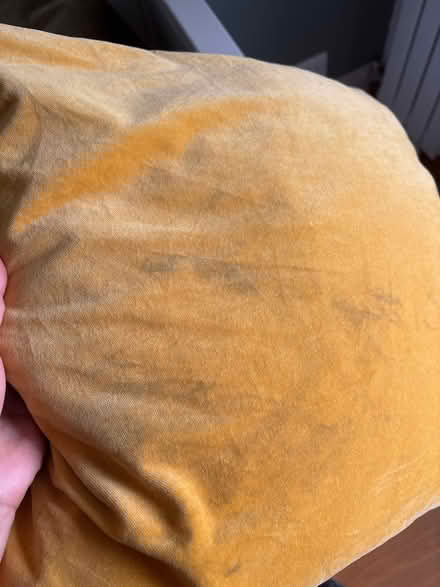 Photo of free Velvet cushions (Fulham SW6) #2