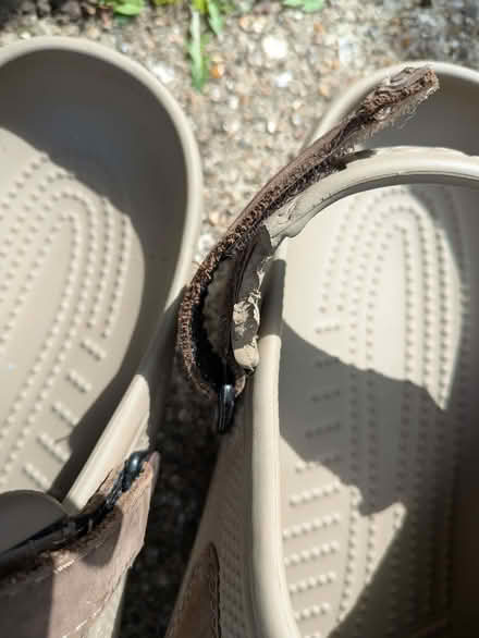 Photo of free Mens crocs size 15 (Earley RG6) #2