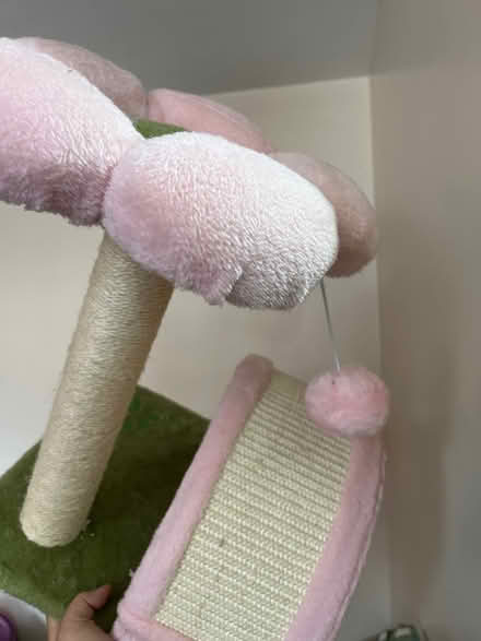 Photo of free Cat Scratching Post (Flatbush) #1